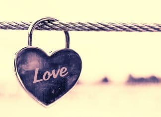 Akademiker auf Partnersuche: Herausforderungen und Chancen Pexel_LOVE