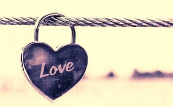 Pexel_LOVE