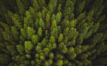 Den Wandel gestalten