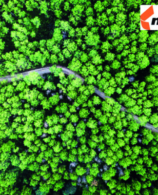 Dein Karriereweg bei Mondi - Bild