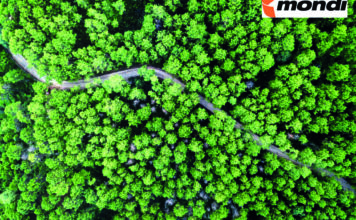 Dein Karriereweg bei Mondi - Bild